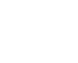 Alfen Logo White